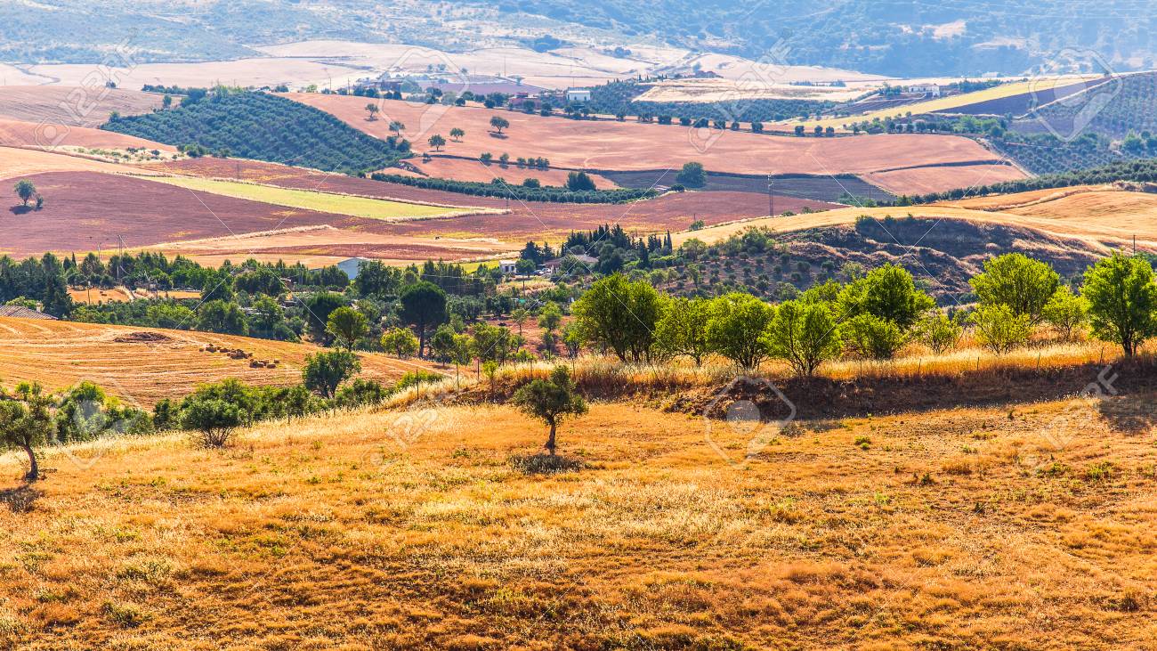 Landscape in rural, Andalusia, Spain.