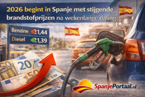 B87fac63 c5a5 4647 86ce 6de544ee2903