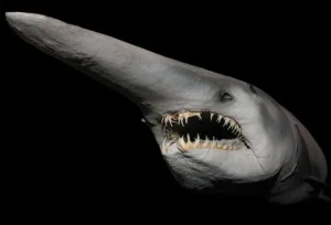 Thats a goblin shark v0 o1r9nucvfutd1