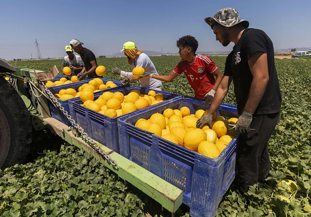 000154655298 RY7RWjCCSYTvdTSCCTx