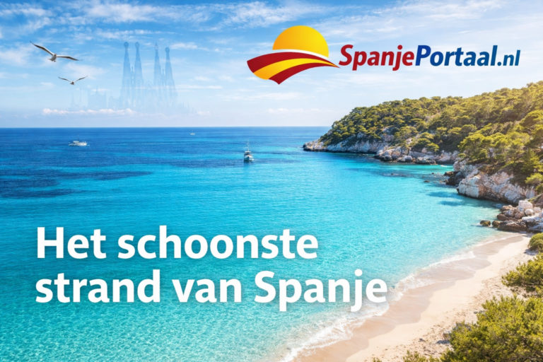 0e6c322d e0a7 4e73 8384 4c5a59376cb8