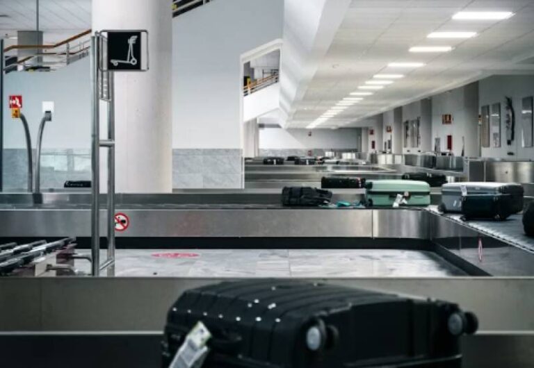 1000261018 11771247206 large