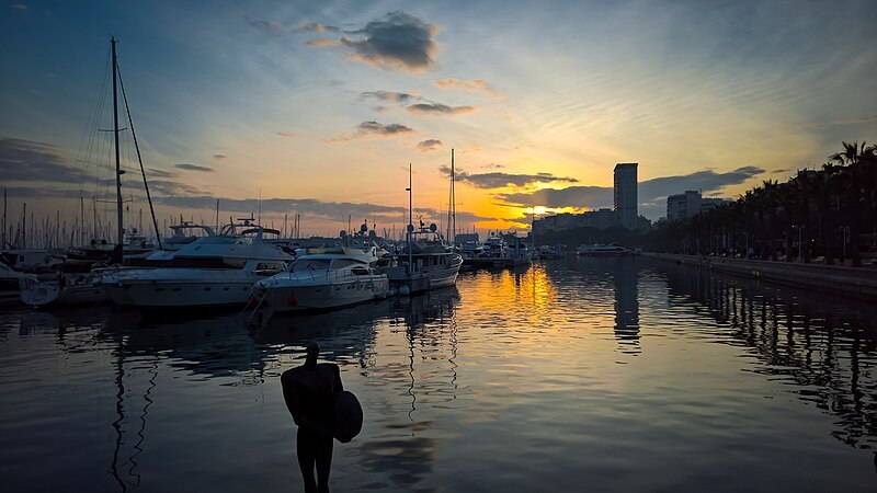 1000262039 11771848140 large