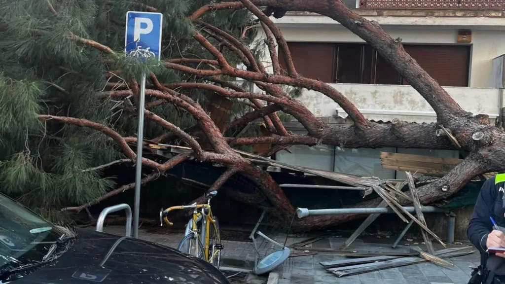 1003742731961 15710154 1706x960