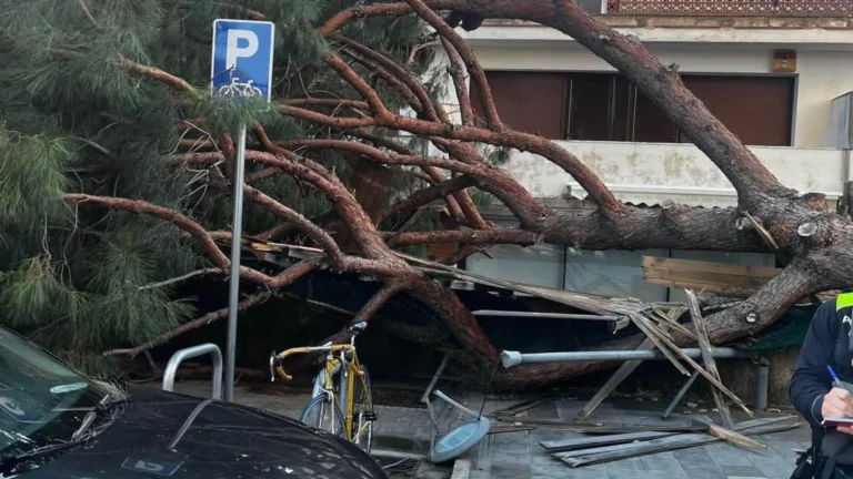 1003742731961 15710154 1706x960