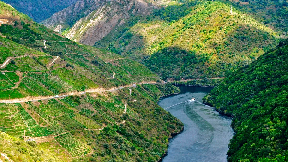 1200x675 cmsv2 11306638 a6db 58d4 a81b 70cc4f0797f6