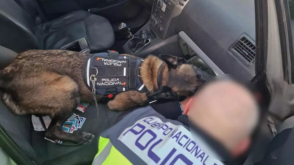 1000264122 11773056290 large