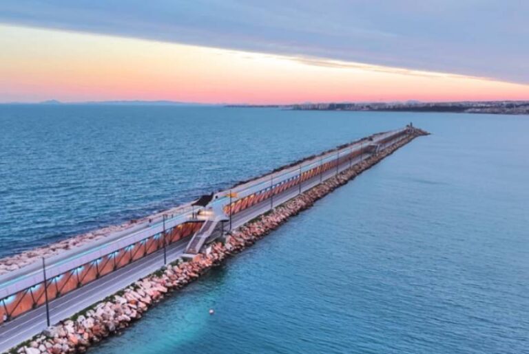 1000266243 11774866450 large