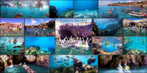 371cac 137af95f688a437abff953a038872b62~mv2