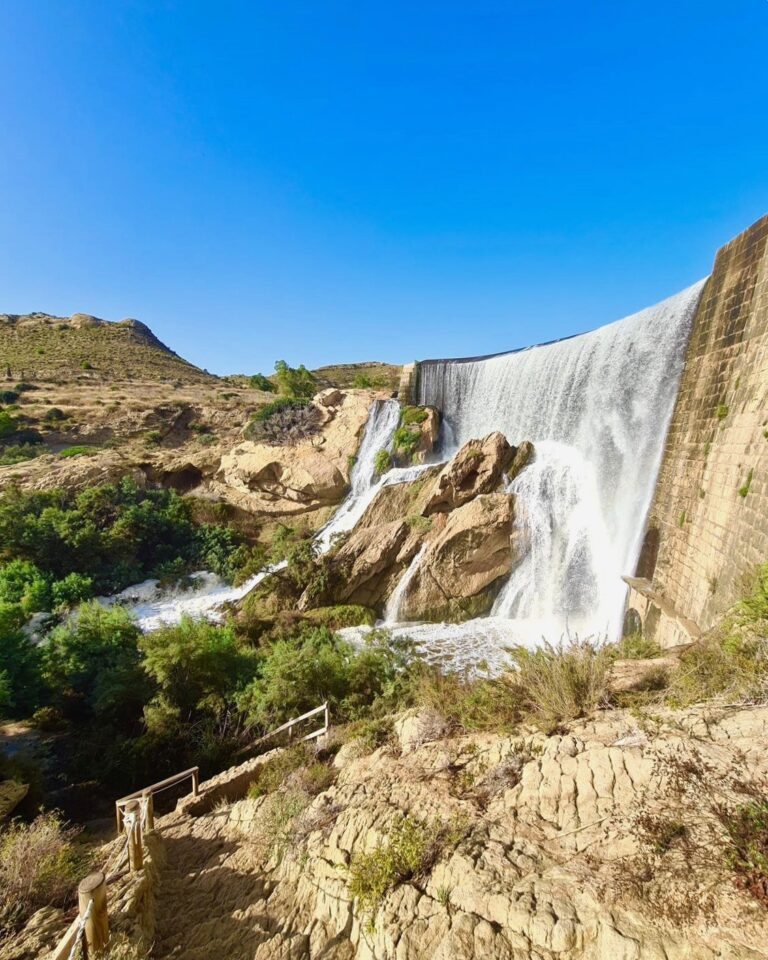 648430138 1895990724678246 1551540988928306275 n