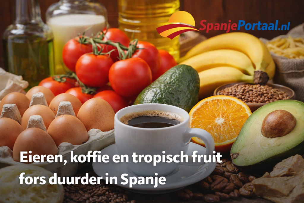 7b723d1b ba2f 4d11 8a84 f00aac028609