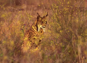 Scherm afbeelding 2025 11 13 om 12.44.17