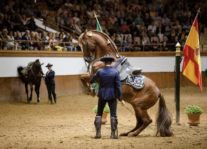 Scherm afbeelding 2025 11 13 om 21.09.28