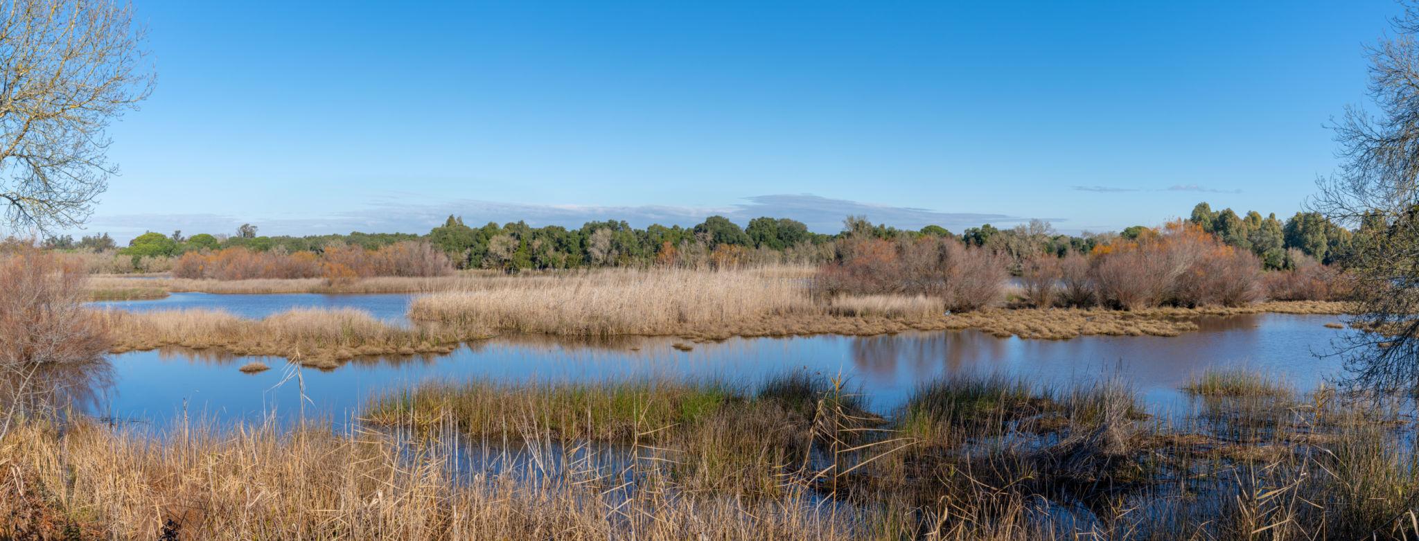 SvhXnPqaelGgMfvq4vSyqlwAlX4Mo0x Nqhx2K oT90 v8YSXj dLz0pOYruaw0iMb4bYuDYpa9pfZGeBkMxPoYudceRvQ1jgLXXD1gNmos