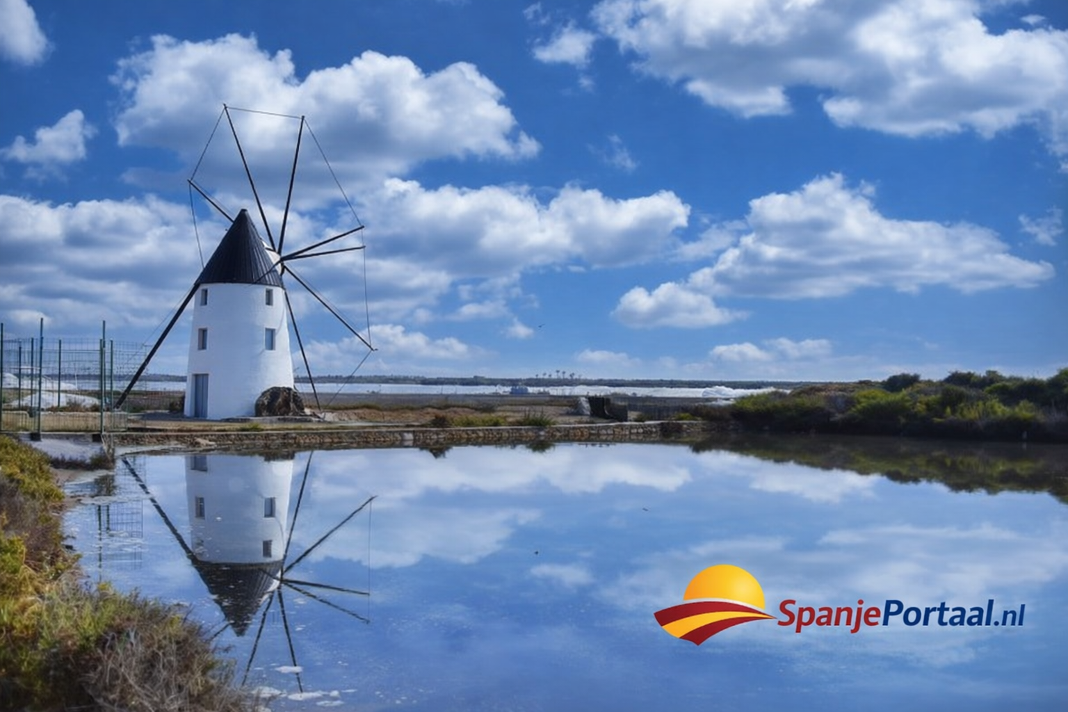 B17f3134 6d3b 414e b6f0 ff0378054d2f