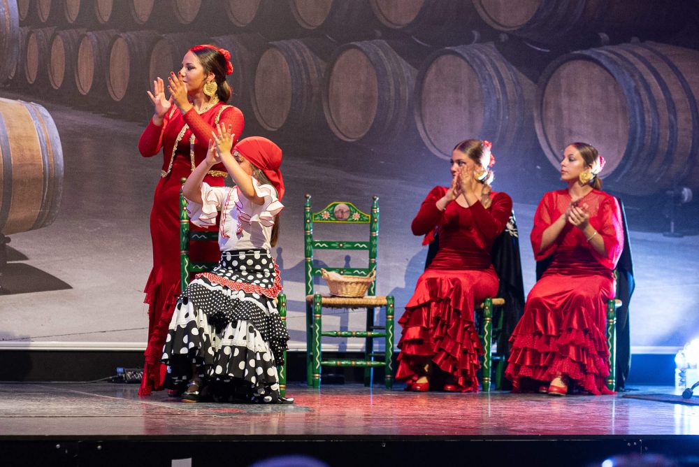 Flamenco estepona DSC00384