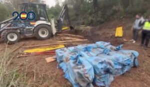 Image 1536x885 3 768x443