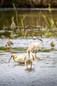 PK9Z2j cr9QN3NzgBRRx3U0oa3n6BSWX2acciaLFLAvuKo NR 7xuvwyvsQGXb5SF7GwpCapvOuhNTbsHTm7T35eHy00rU45Vtt1vDYCum4