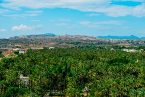 SvAH bLSfutFiCL3h812wWw0aqbOlJAl92r2HoDKvTyZNES5d kq7NJKxd1C30uXSH q2FfyaIXAheFbR0kT3wcmvyyXJqSjO7fYJcPlo