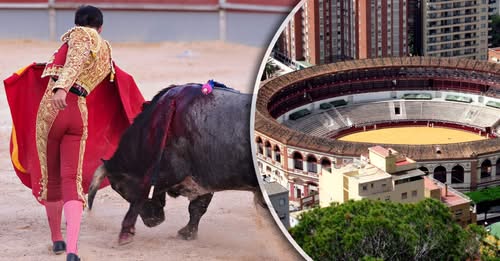 Spaanse ex-stierenvechter (51) komt om bij incident in arena Málaga