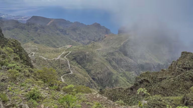 Lichaam vermiste Duitse backpacker na bijna vier jaar gevonden op Tenerife